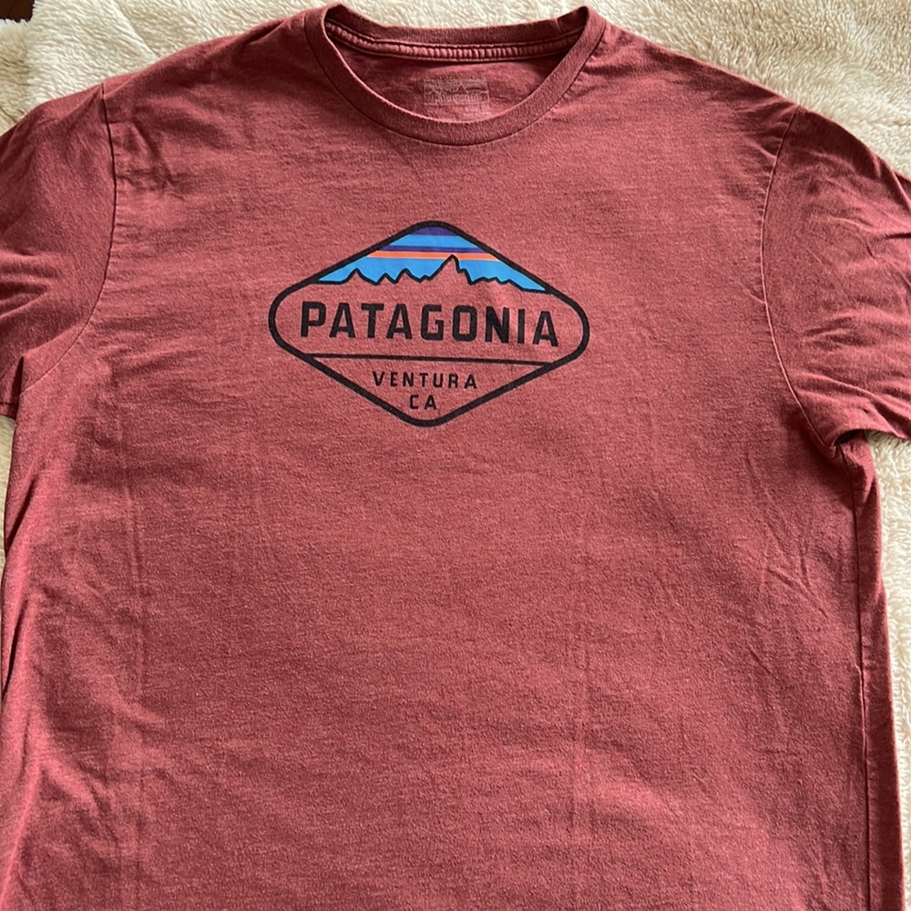 Mens Patagonia T-Shirt Large